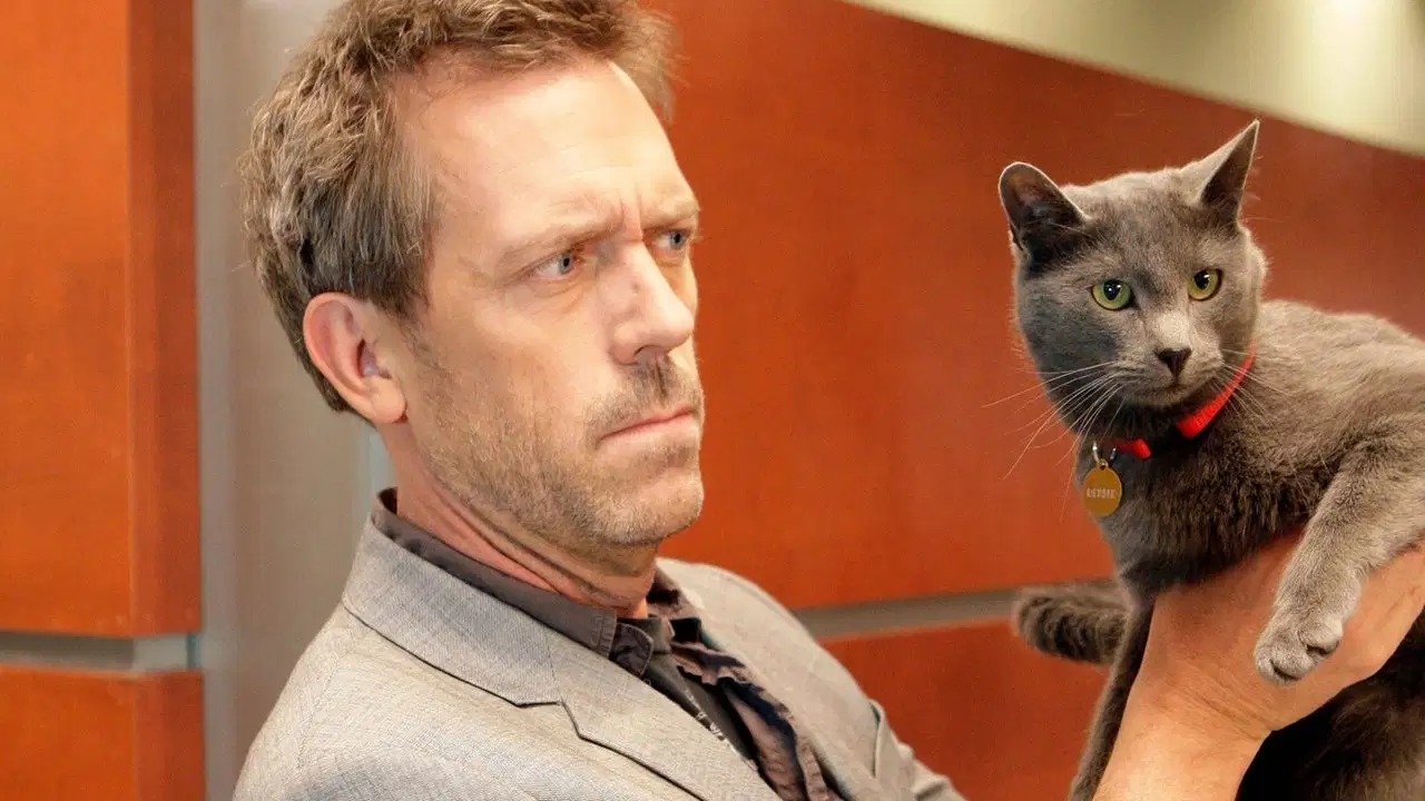 Dr House {se_code} - Vider