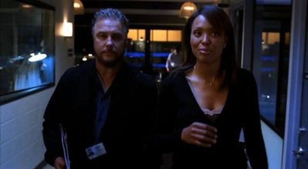 CSI. Kryminalne zagadki Las Vegas {se_code} - Vider