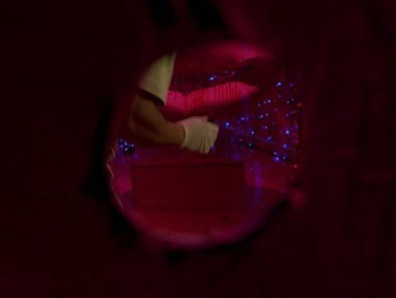 CSI: Kryminalne zagadki Miami {se_code} - Vider