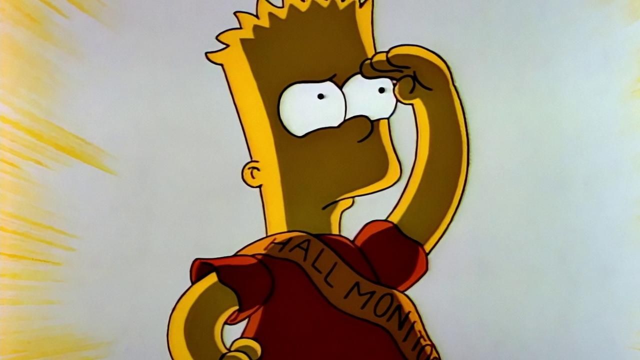 Simpsonowie {se_code} - Vider