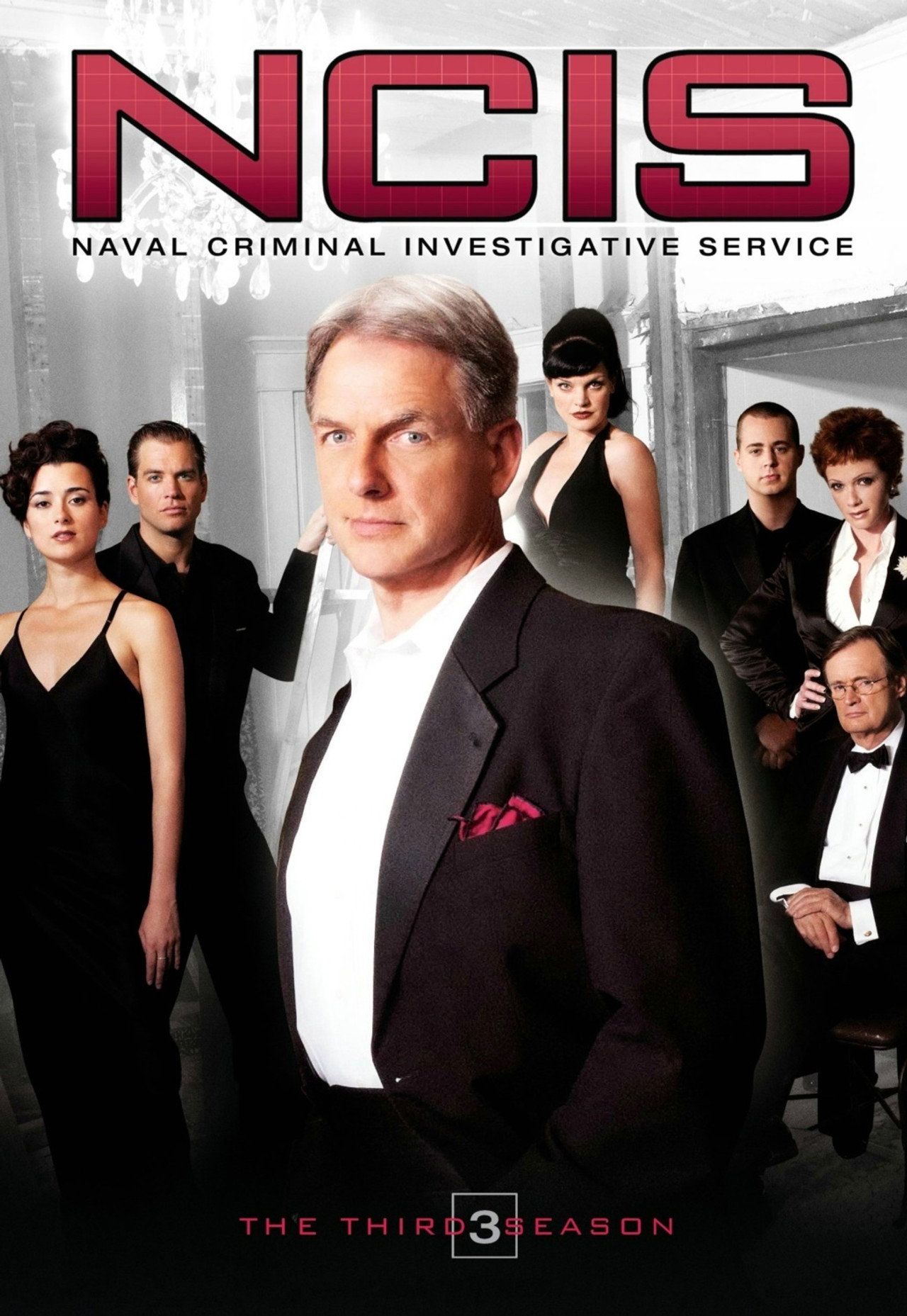 Agenci NCIS Sezon 3 - Vider