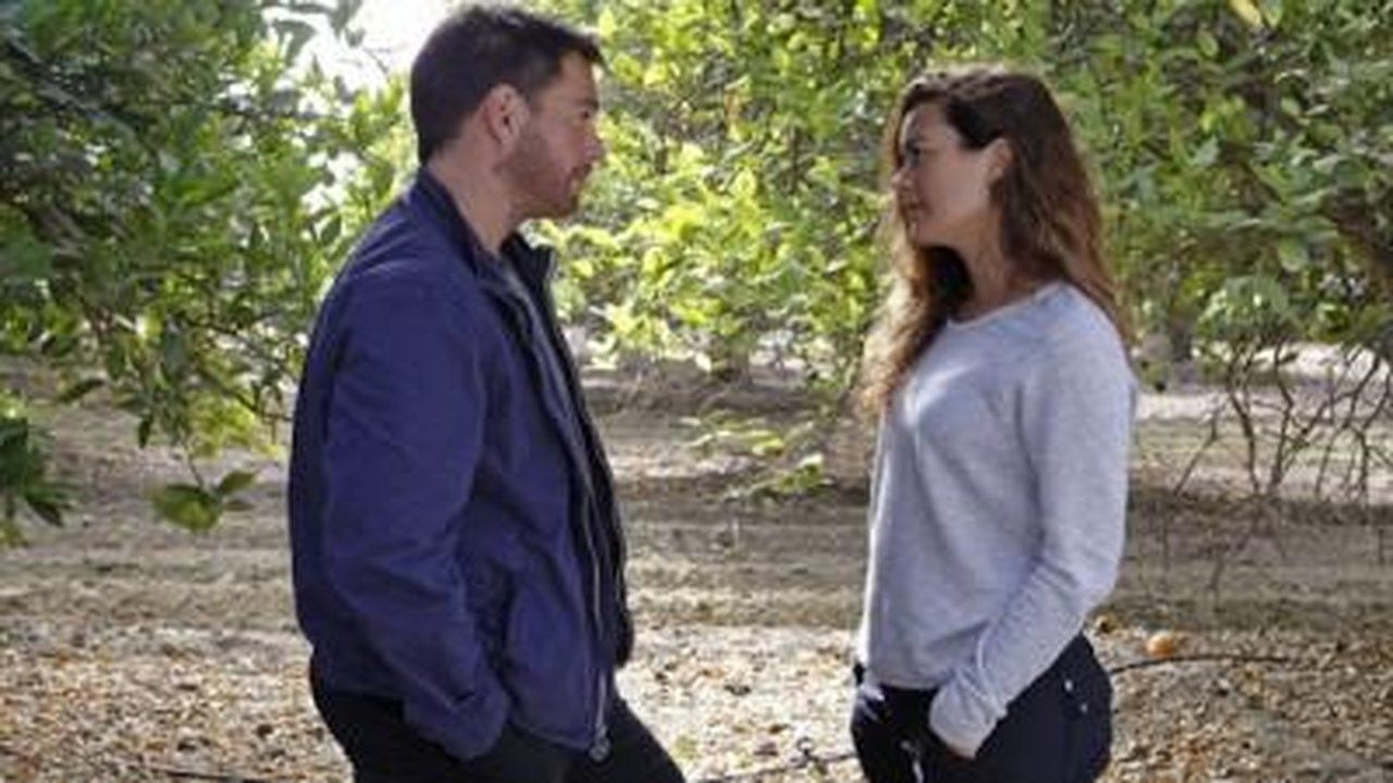 Agenci NCIS {se_code} - Vider