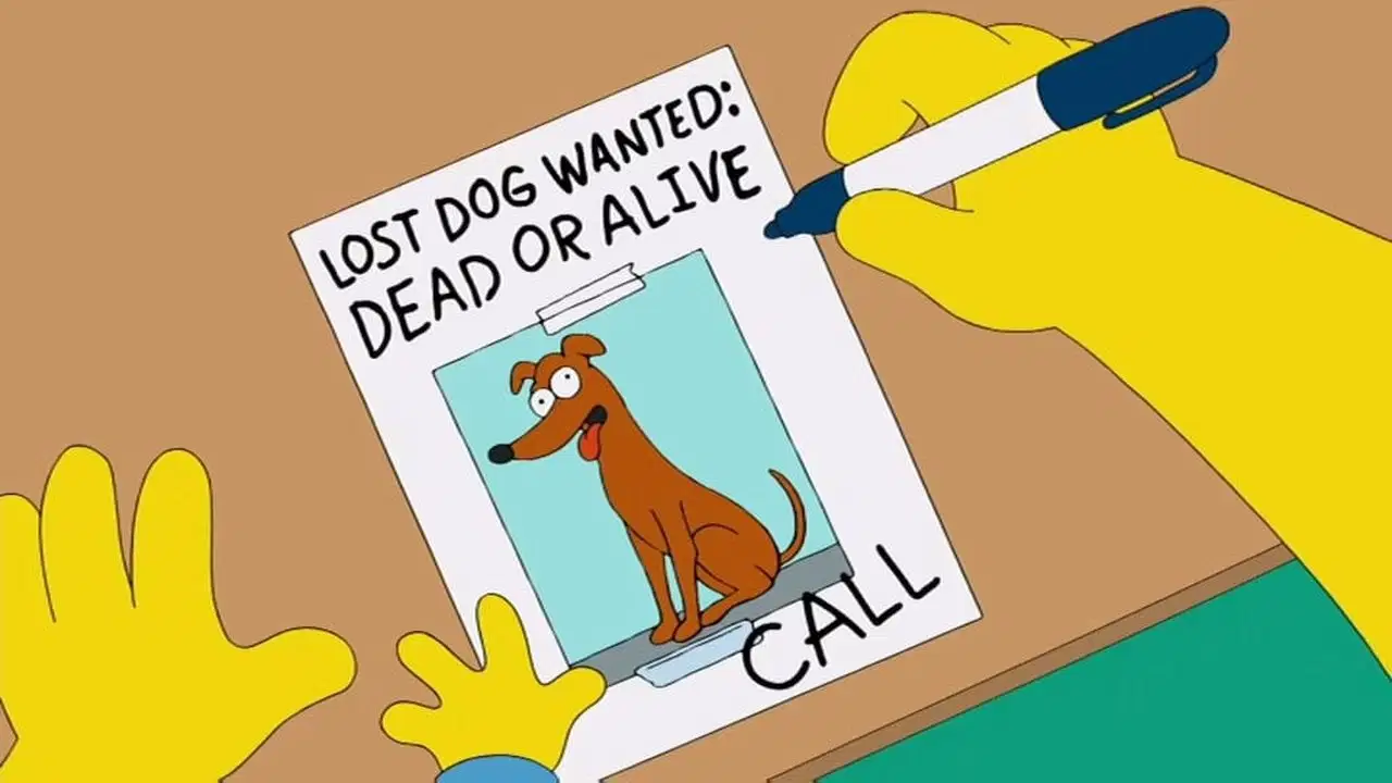 Simpsonowie {se_code} - Vider