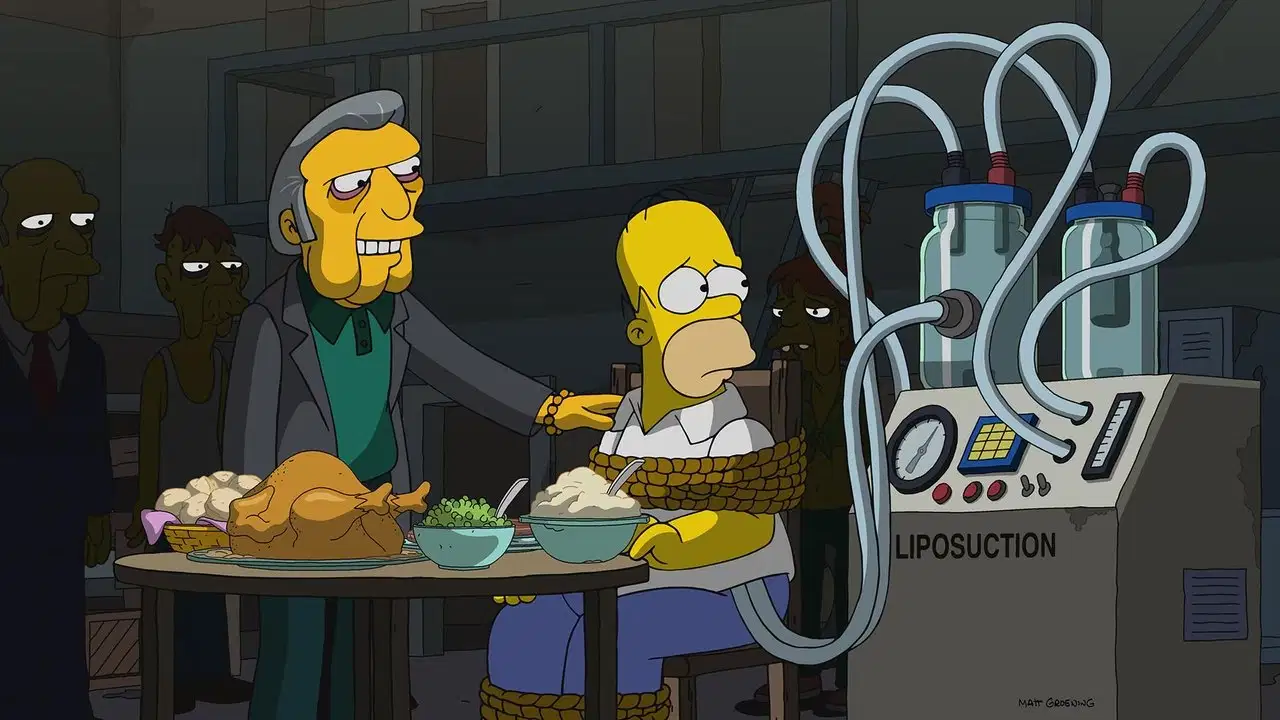 Simpsonowie {se_code} - Vider