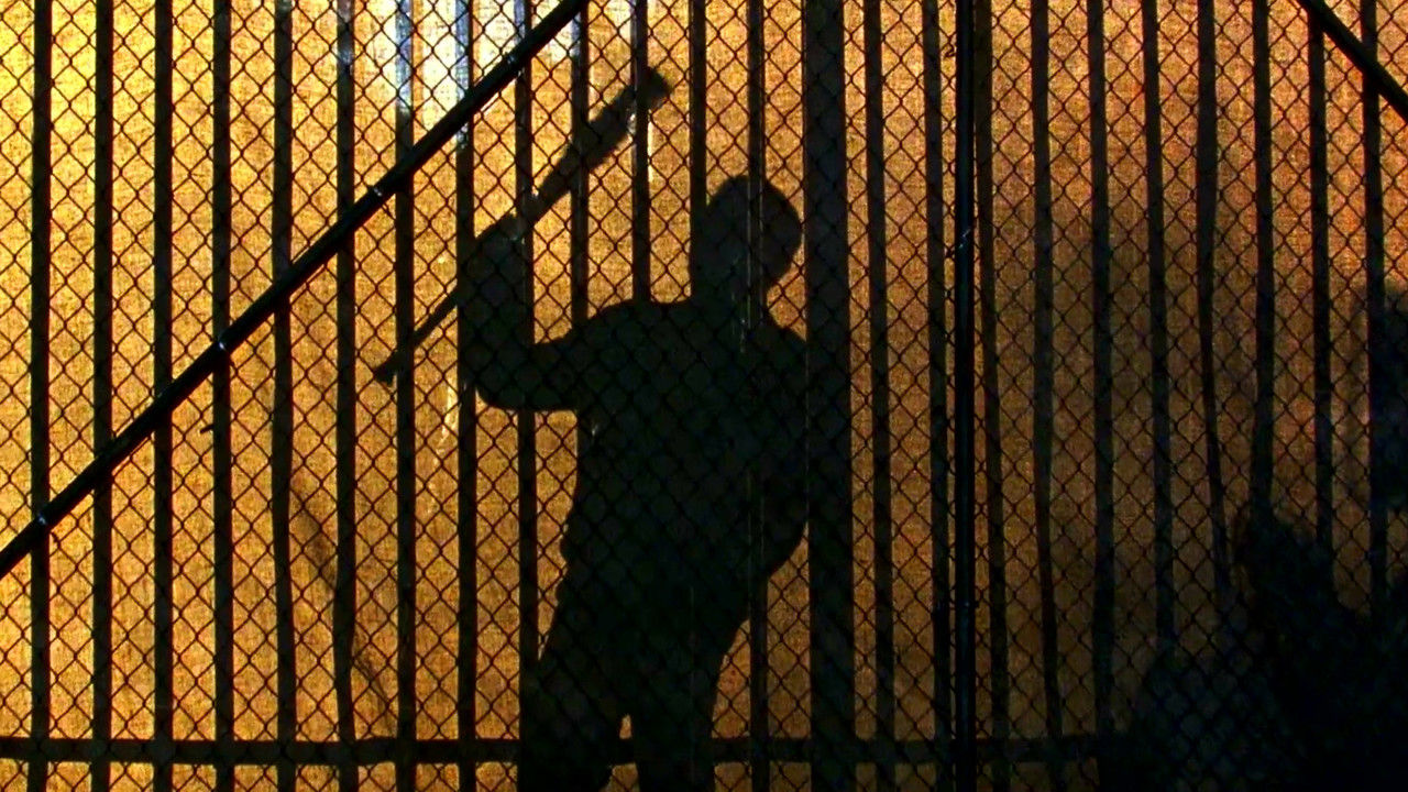 Żywe trupy {se_code} - Vider
