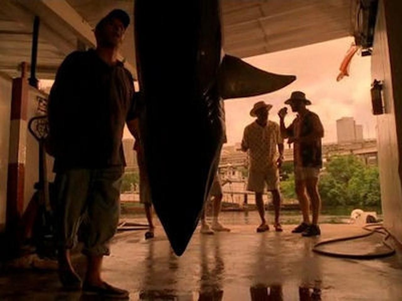 CSI: Kryminalne zagadki Miami {se_code} - Vider