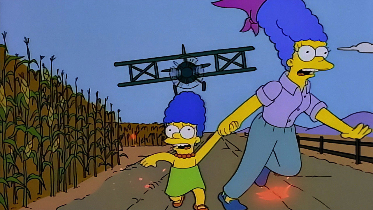 Simpsonowie {se_code} - Vider