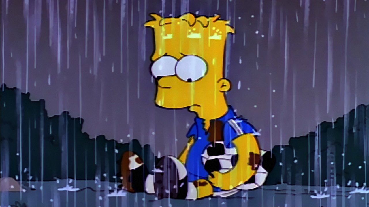Simpsonowie {se_code} - Vider