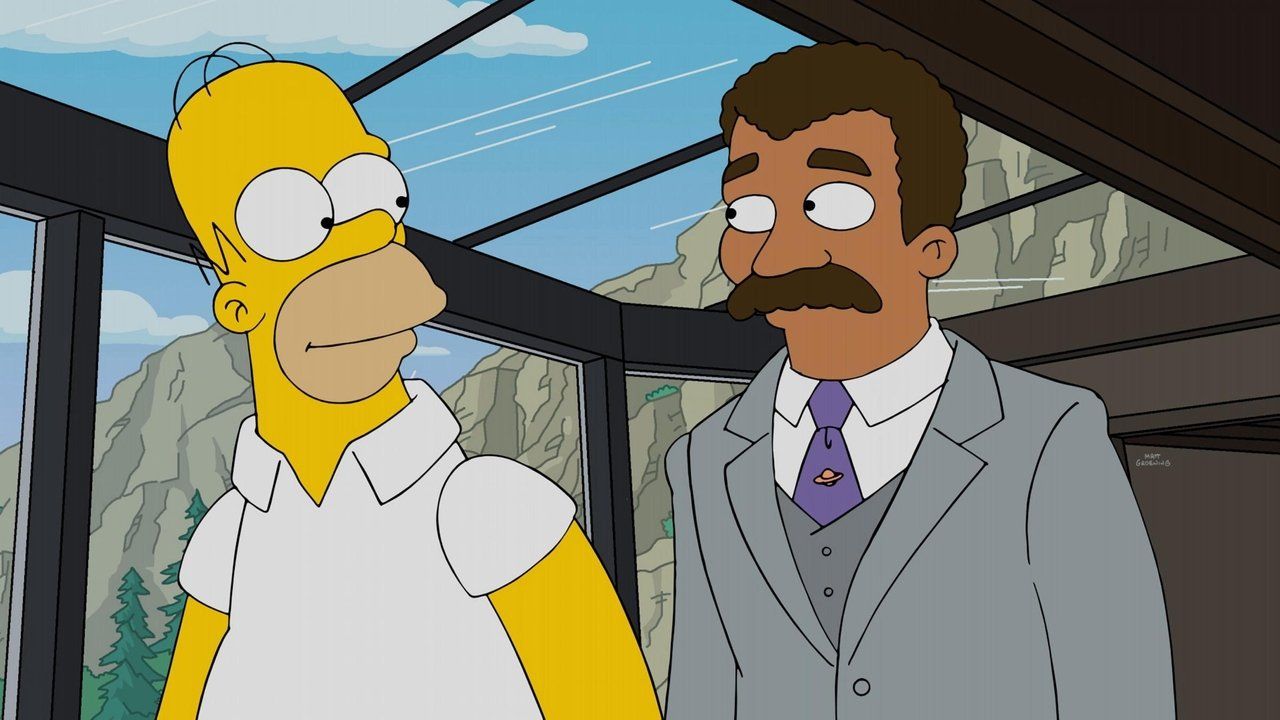 Simpsonowie {se_code} - Vider
