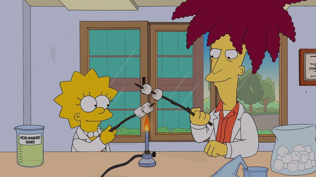 Simpsonowie {se_code} - Vider