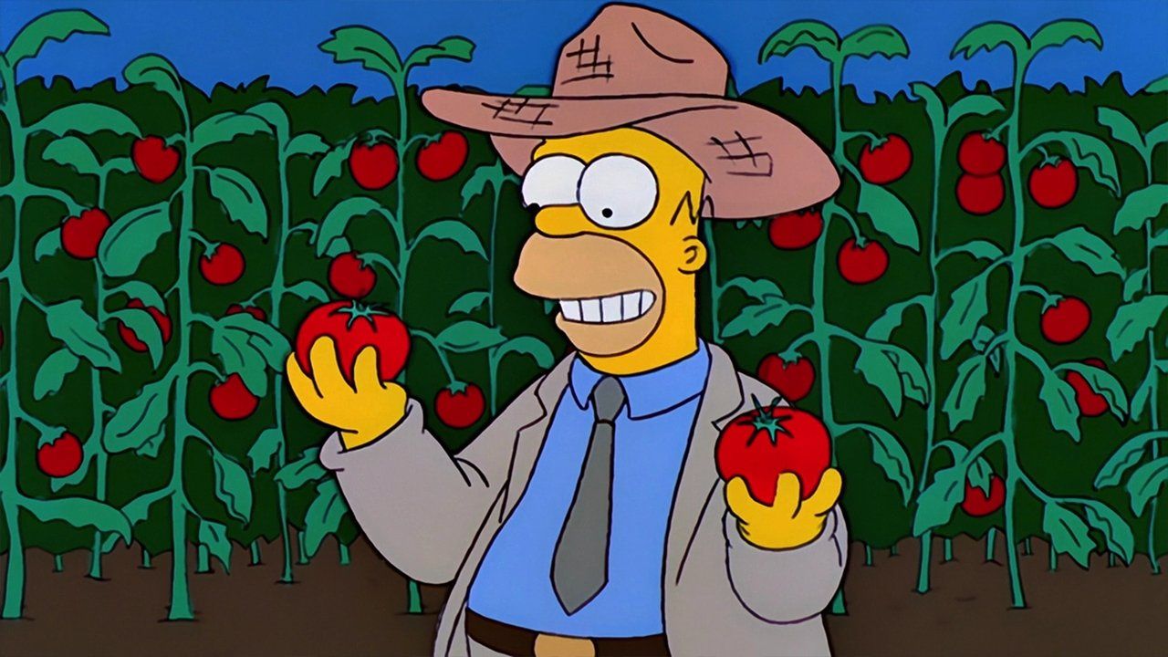 Simpsonowie {se_code} - Vider