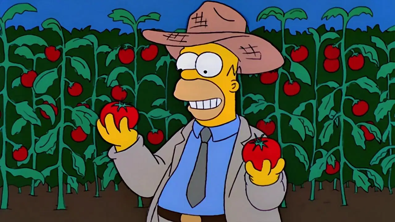 Simpsonowie {se_code} - Vider