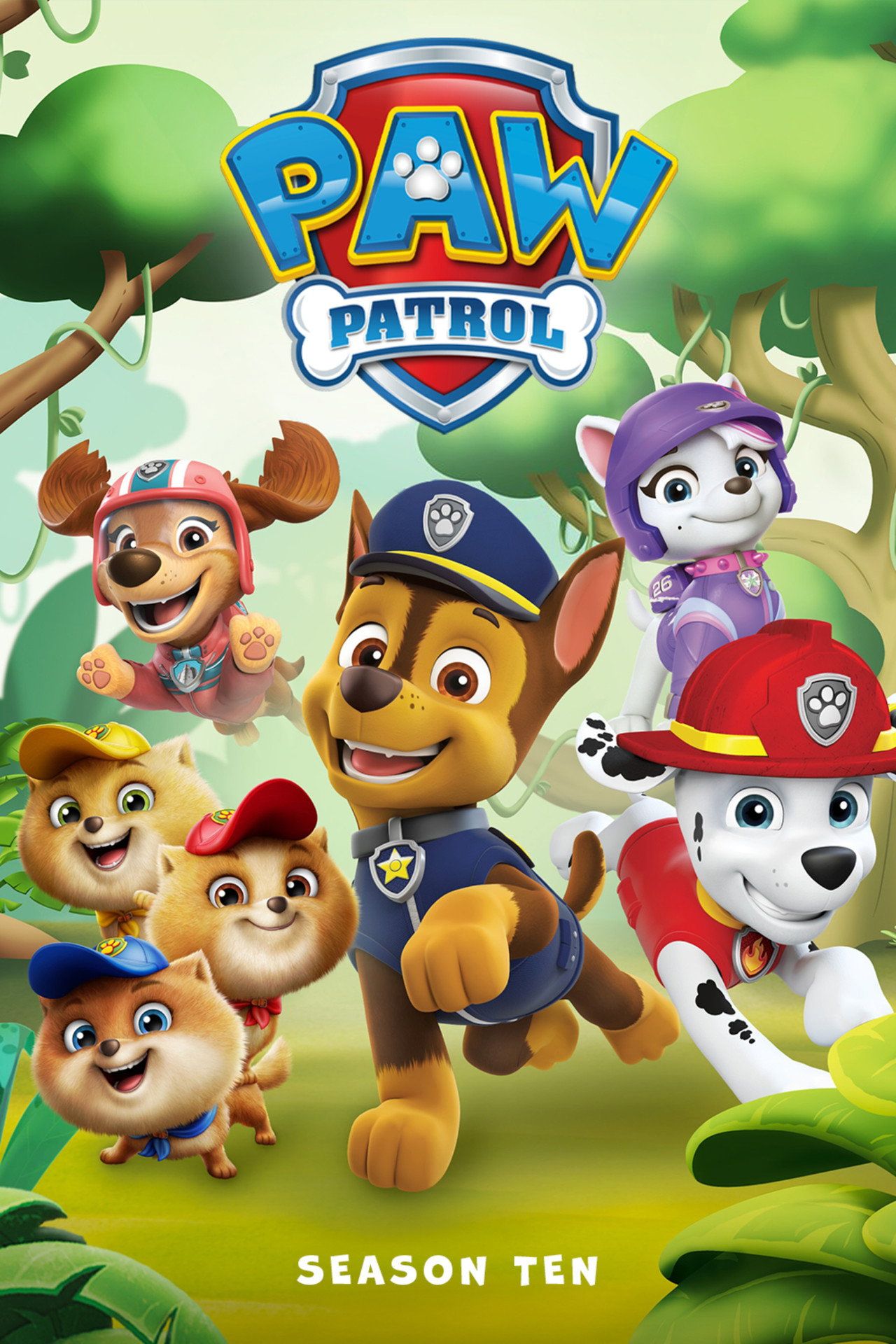 Psi Patrol Sezon 10 - Vider