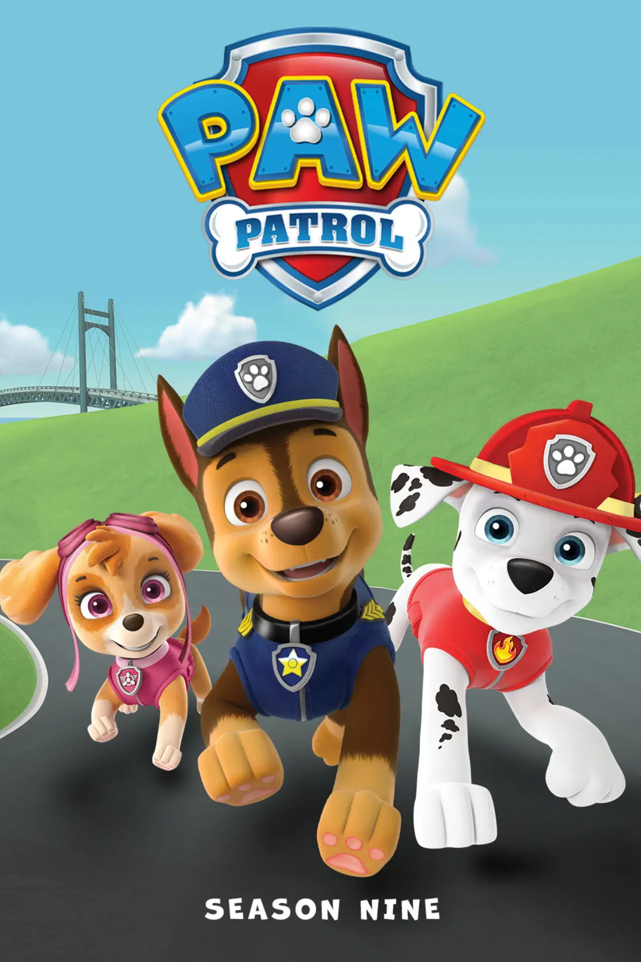 Psi Patrol Sezon 9 - Vider