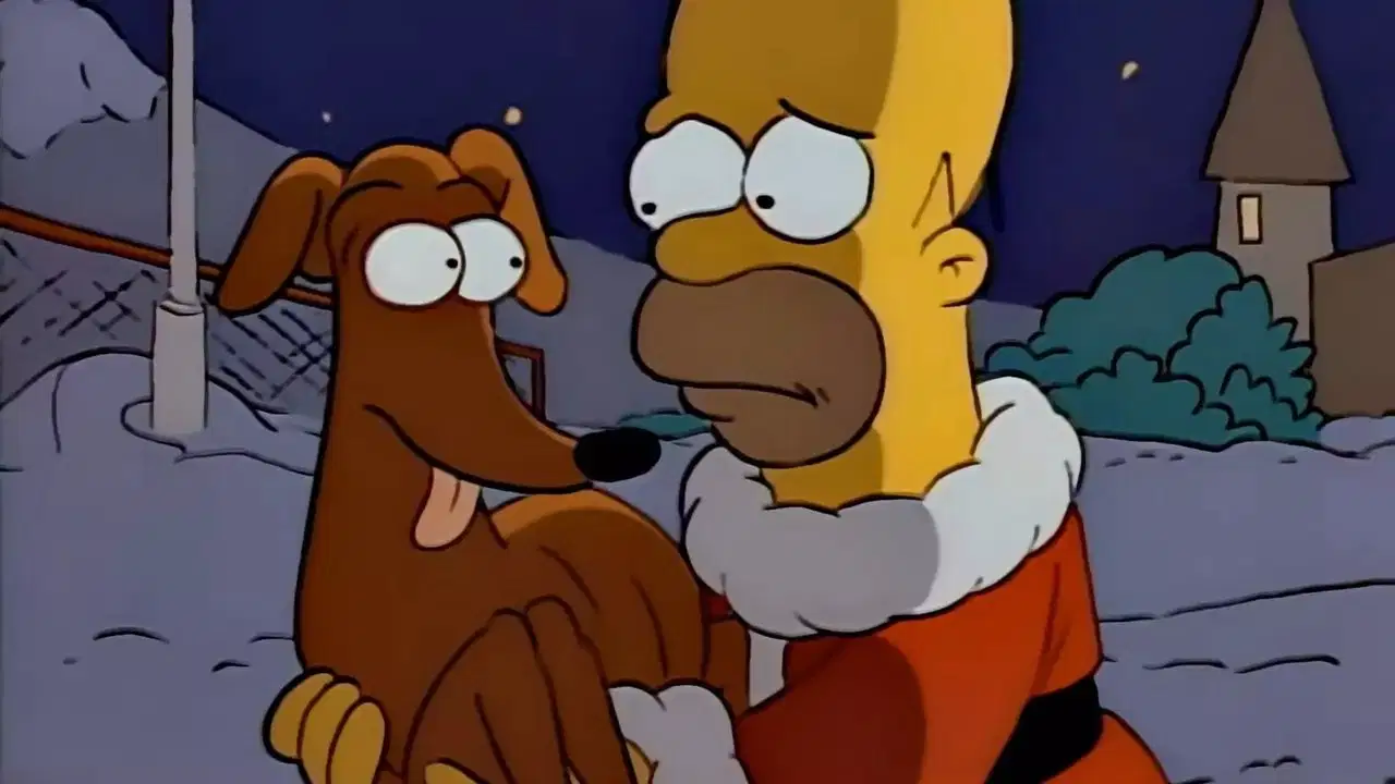Simpsonowie {se_code} - Vider