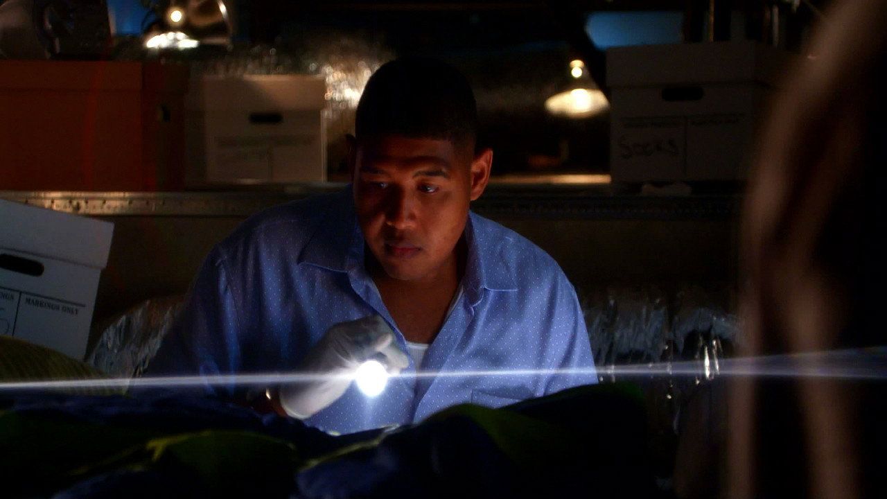 CSI: Kryminalne zagadki Miami {se_code} - Vider