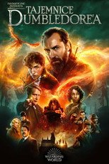 Fantastyczne zwierzęta: Tajemnice Dumbledore'a (2022) - Vider