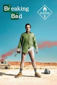 Breaking Bad Sezon 1 - Vider