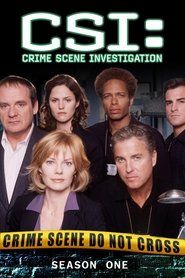 CSI. Kryminalne zagadki Las Vegas Sezon 1 - Vider