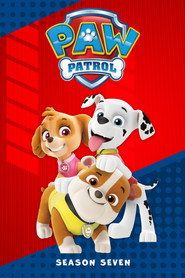 Psi Patrol Sezon 7 - Vider