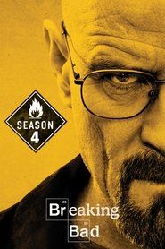 Breaking Bad Sezon 4 - Vider