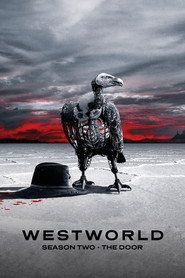 Westworld Sezon 2 - Vider