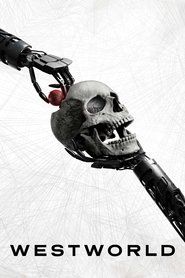 Westworld Sezon 4 - Vider