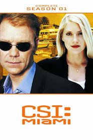 CSI: Kryminalne zagadki Miami Sezon 1 - Vider