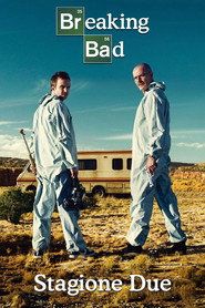Breaking Bad Sezon 2 - Vider