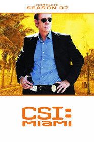 CSI: Kryminalne zagadki Miami Sezon 7 - Vider