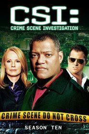 CSI. Kryminalne zagadki Las Vegas Sezon 10 - Vider