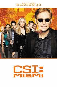 CSI: Kryminalne zagadki Miami Sezon 10 - Vider