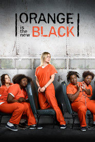 Serial Orange Is the New Black (2013) Online - Vider