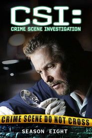 CSI. Kryminalne zagadki Las Vegas Sezon 8 - Vider