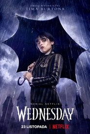 Serial Wednesday (2022) Online - Vider