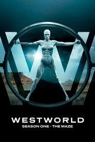 Westworld Sezon 1 - Vider