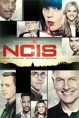 Agenci NCIS Sezon 15 - Vider