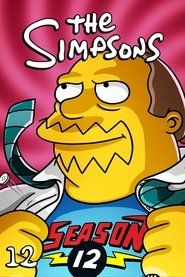 Simpsonowie Sezon 12 - Vider