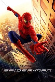 Spider-Man Cały Film (2002) - Vider
