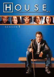 Dr House Sezon 1 - Vider