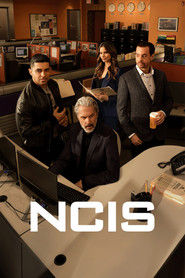 Serial Agenci NCIS (2003) Online - Vider