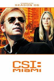 CSI: Kryminalne zagadki Miami Sezon 6 - Vider