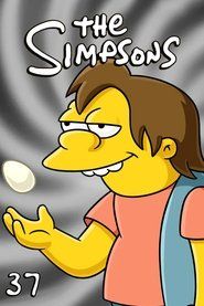 Simpsonowie Sezon 37 - Vider