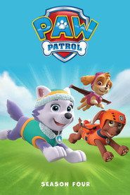 Psi Patrol Sezon 4 - Vider