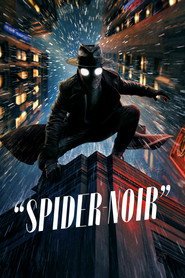 Spider-Noir (2026) - Vider