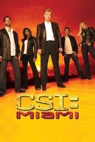 Serial CSI: Kryminalne zagadki Miami (2002) Online - Vider