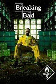 Breaking Bad Sezon 5 - Vider
