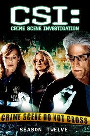 CSI. Kryminalne zagadki Las Vegas Sezon 12 - Vider