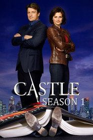 Castle Sezon 1 - Vider
