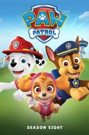 Psi Patrol Sezon 8 - Vider
